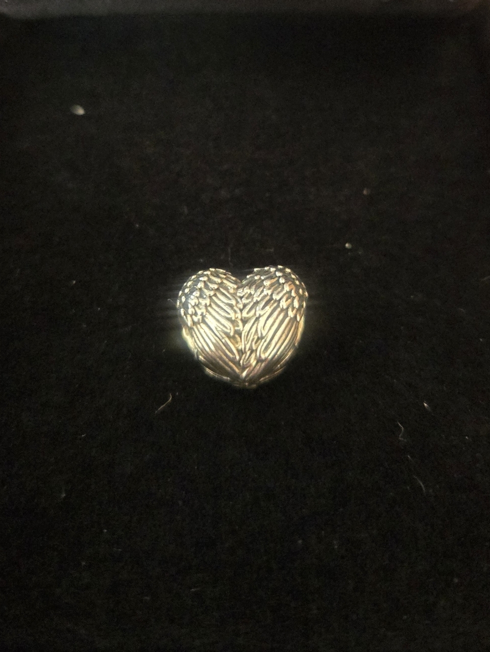 Pandora Heart Angel Wings Charm